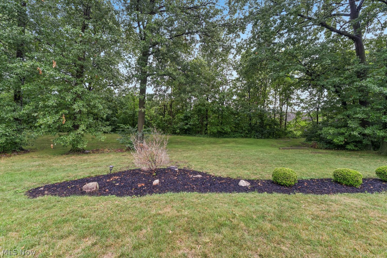 37060 N Doovys Street Avon OH 44011