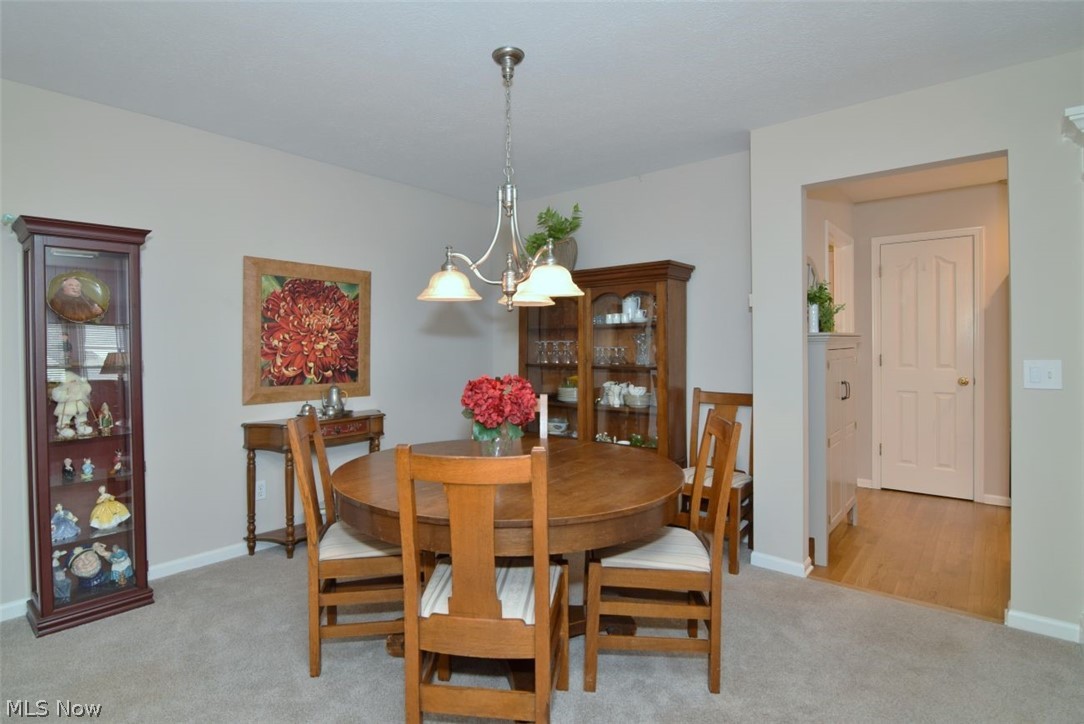 524 Covington Lane Chagrin Falls OH 44023