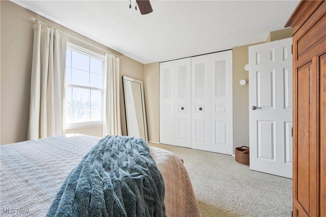 19383 Purita Avenue Cleveland OH 44135