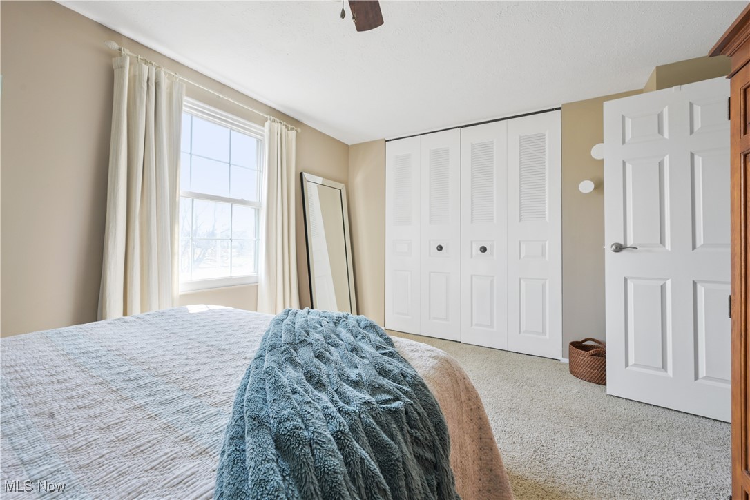 19383 Purita Avenue Cleveland OH 44135