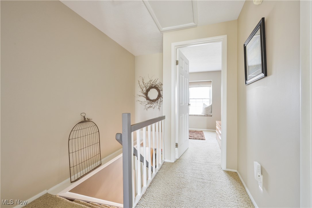 19383 Purita Avenue Cleveland OH 44135