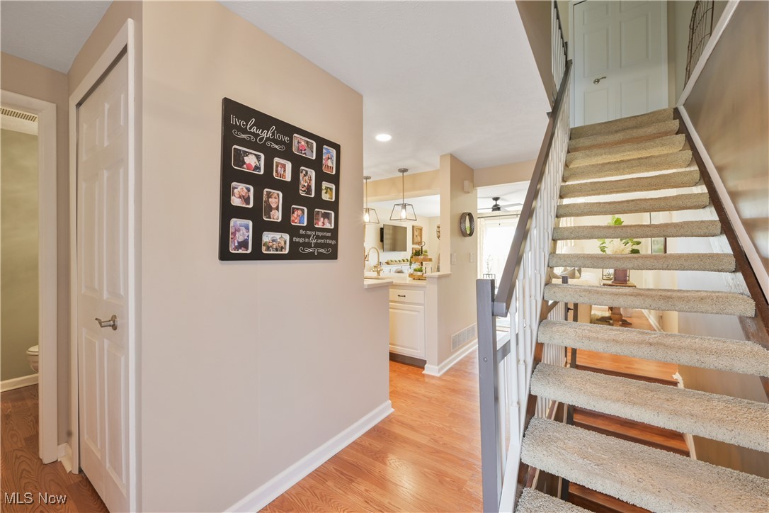 19383 Purita Avenue Cleveland OH 44135