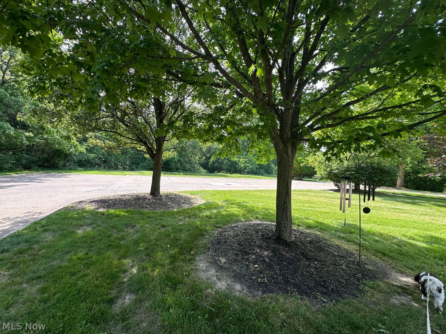 552 Main Street Wadsworth OH 44281