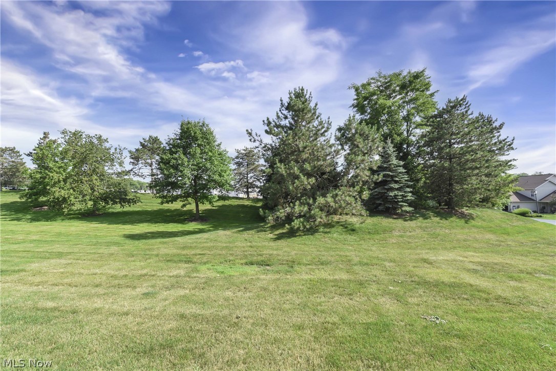 3222 Greentree Circle Medina OH 44256