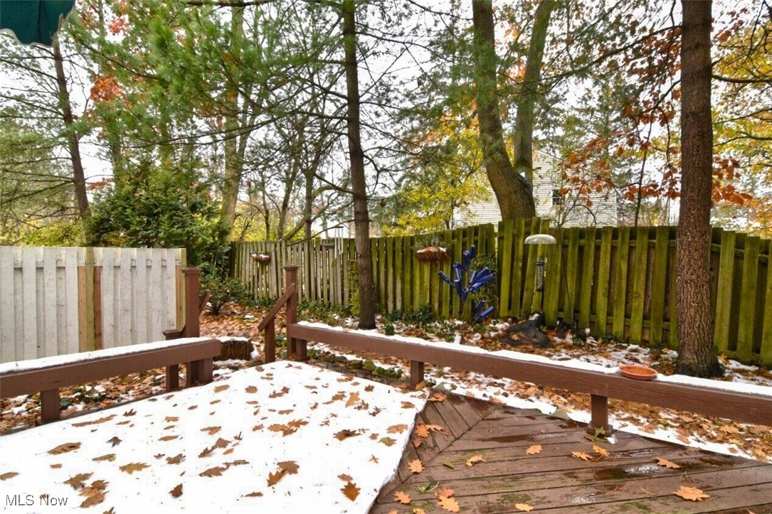 47 Cleveland Street Chagrin Falls OH 44022