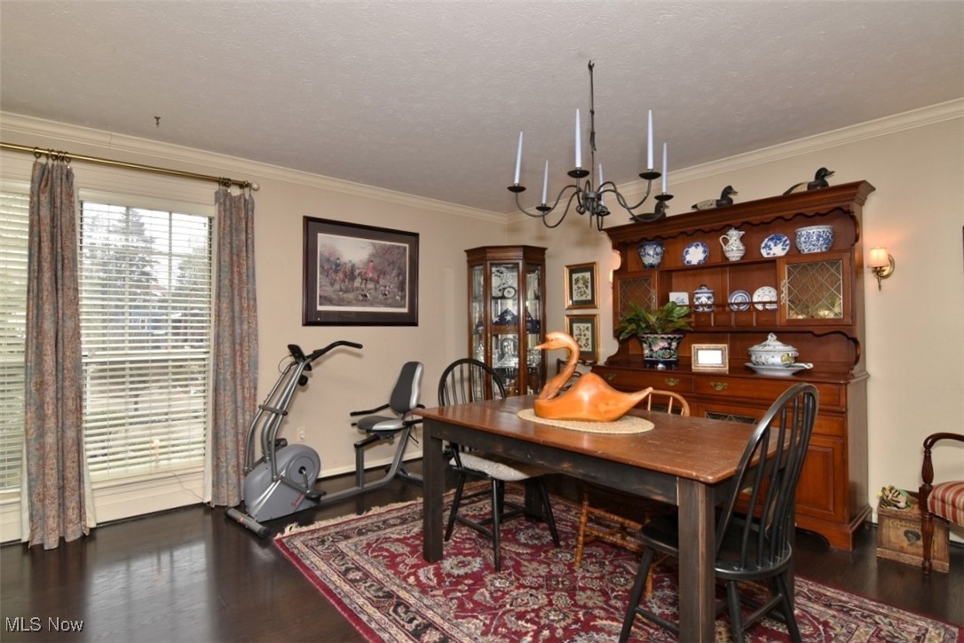 47 Cleveland Street Chagrin Falls OH 44022