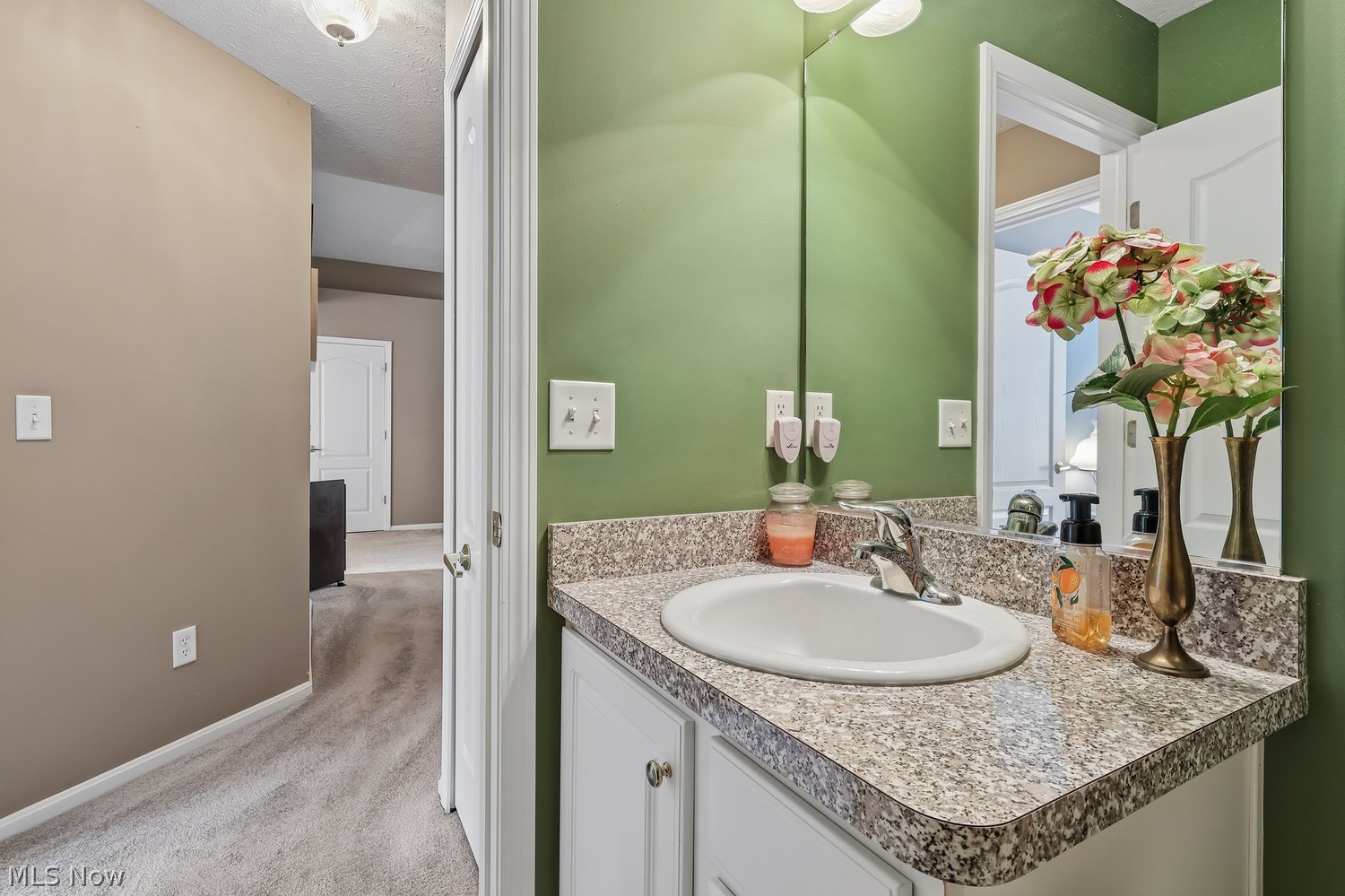 9058 W Windsor Drive W Olmsted Falls OH 44138