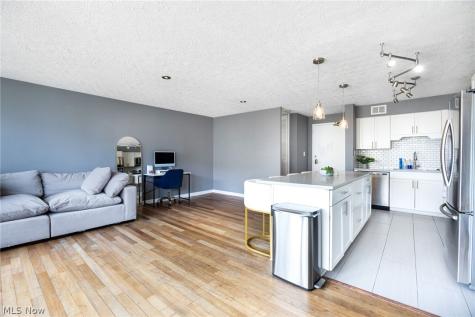 12520 Edgewater Drive Lakewood OH 44107