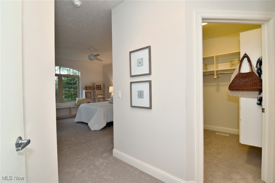 3194 Richmond Road Beachwood OH 44122