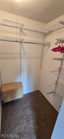5514 Wrens Lane Willoughby OH 44094