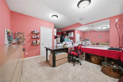 1023 Spring Run Boulevard Painesville OH 44077