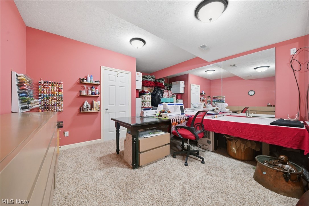 1023 Spring Run Boulevard Painesville OH 44077