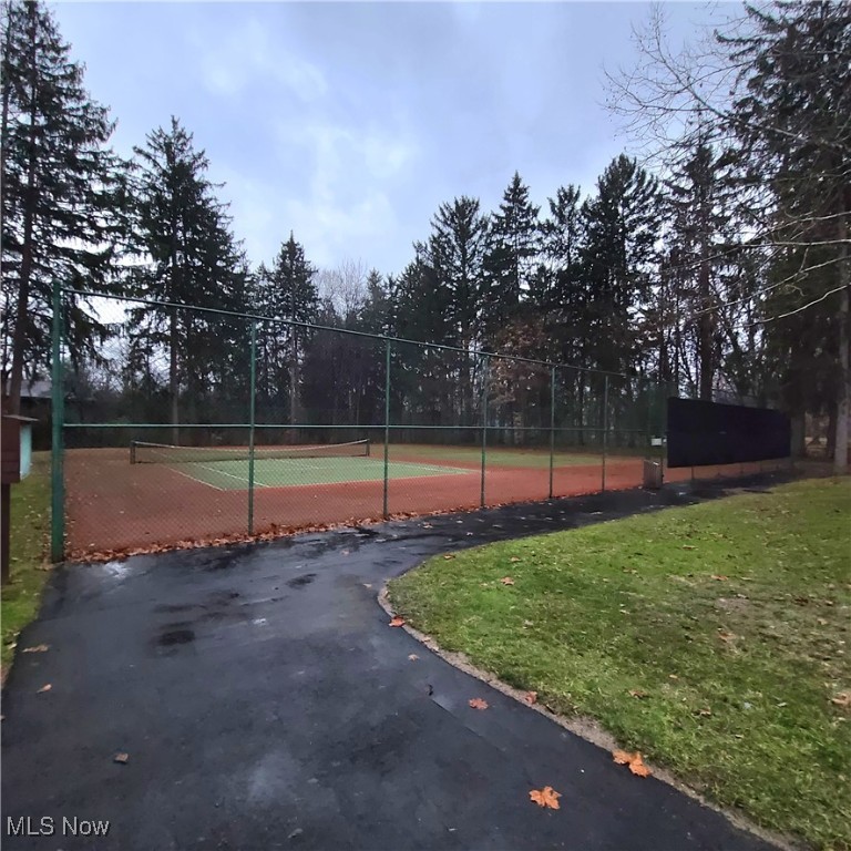 766 Pipes Court Sagamore Hills OH 44067