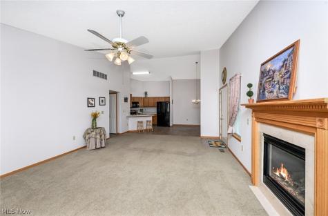3117 Dorchester Court Akron OH 44312