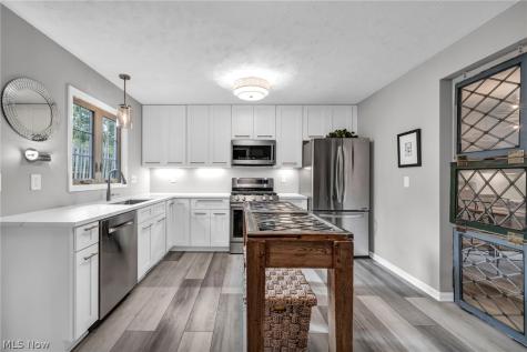 19 Pond Drive Rocky River OH 44116