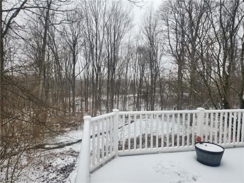 1605 Chapman Way Broadview Heights OH 44147
