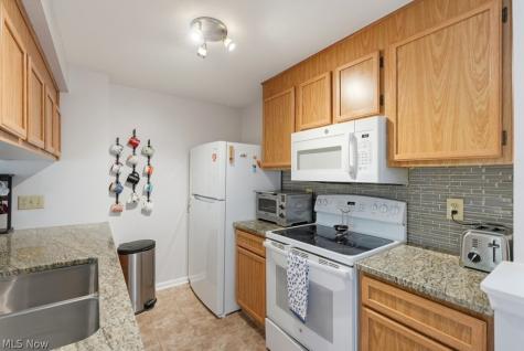 1905 Ridge Meadow Court Twinsburg OH 44087