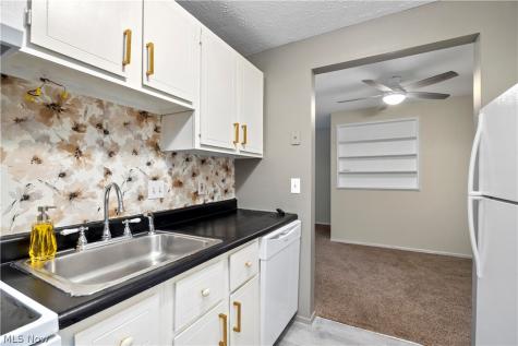 216 Moore Road Avon Lake OH 44012