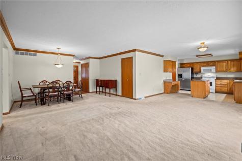 181 Park Place Drive Wadsworth OH 44281
