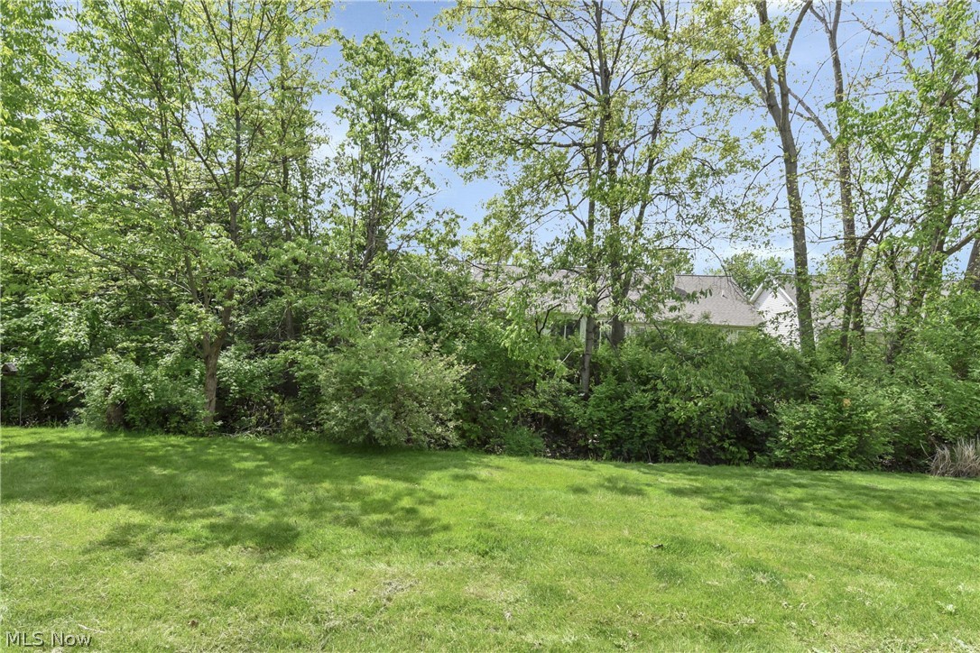 16831 Orchard Grove Drive Middleburg Heights OH 44130