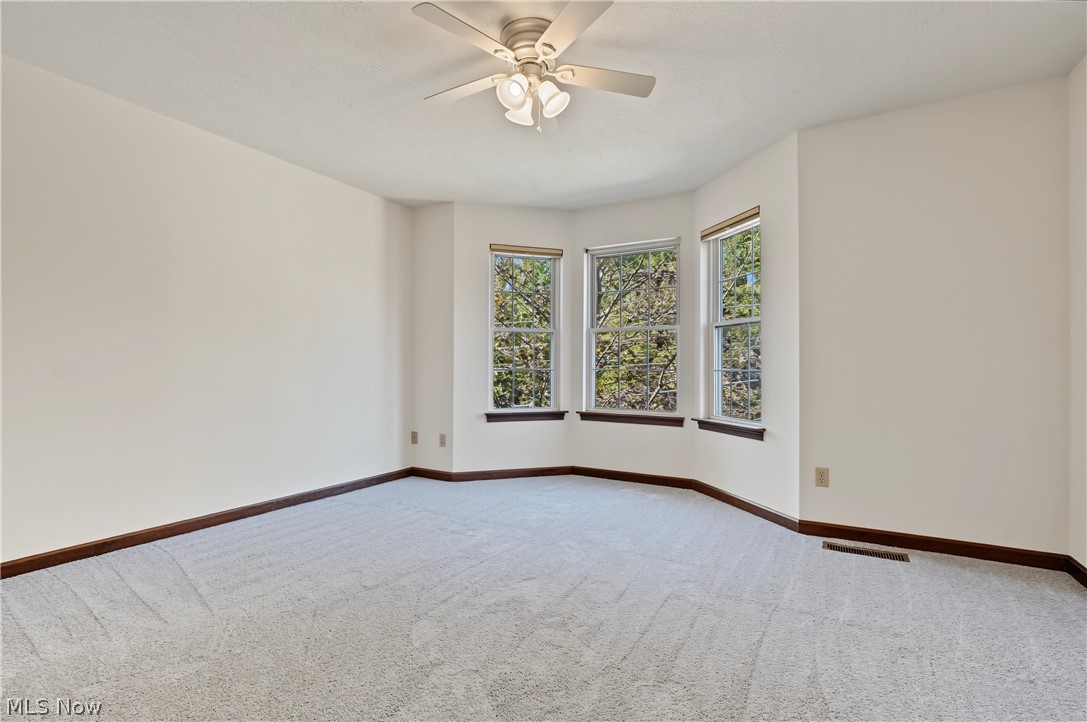 343 N Mantua Street Kent OH 44240