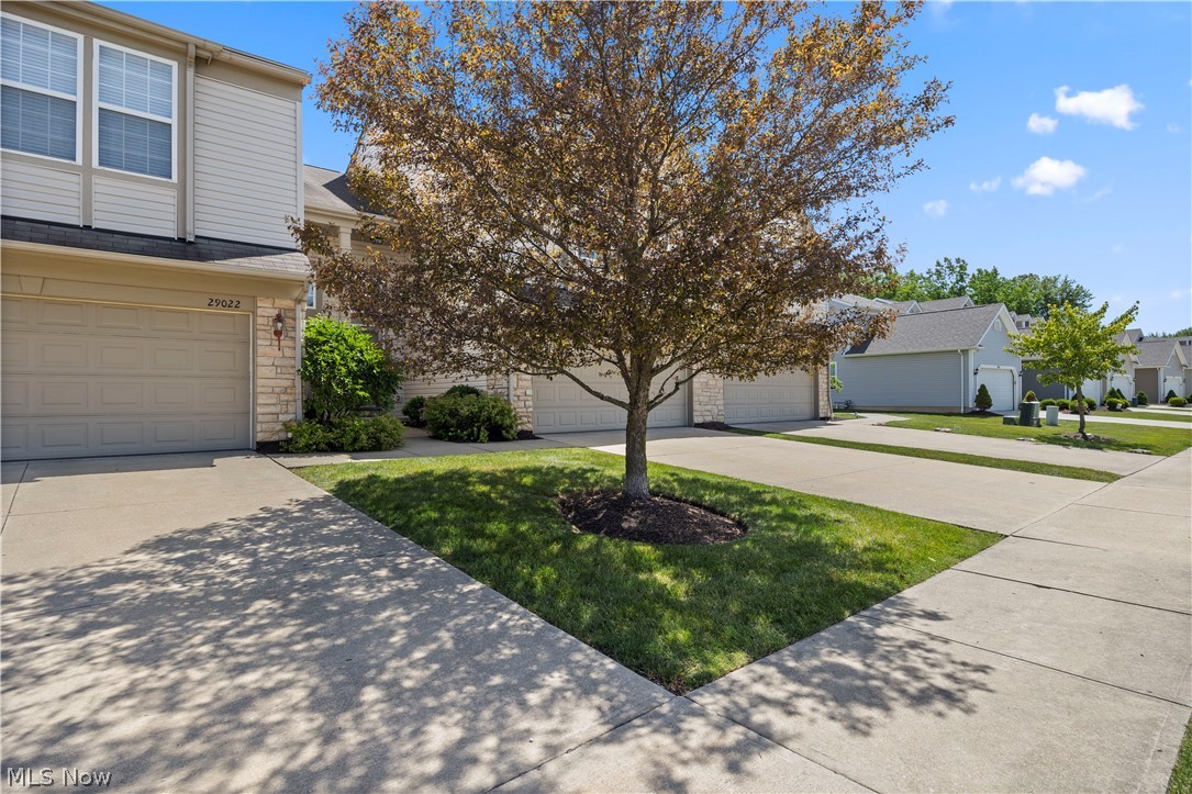 29026 Pembrooke Boulevard Olmsted Falls OH 44138