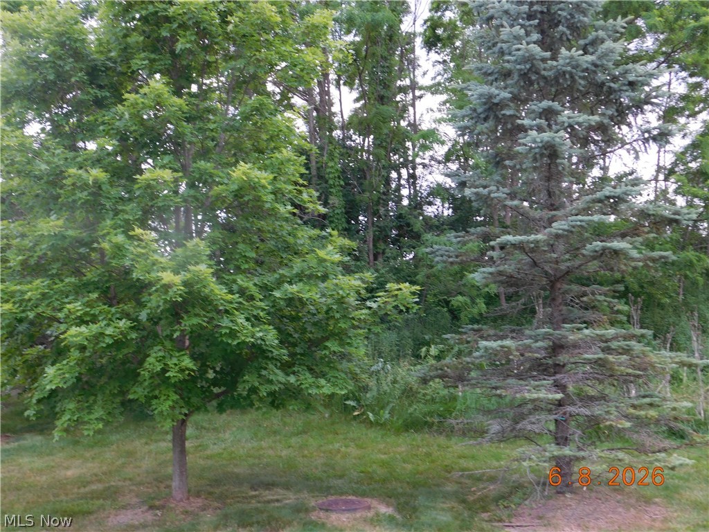29026 Pembrooke Boulevard Olmsted Falls OH 44138