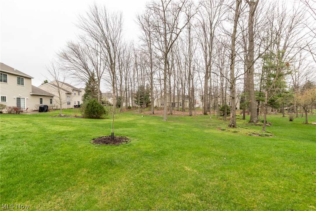 2703 Walton Boulevard Twinsburg OH 44087