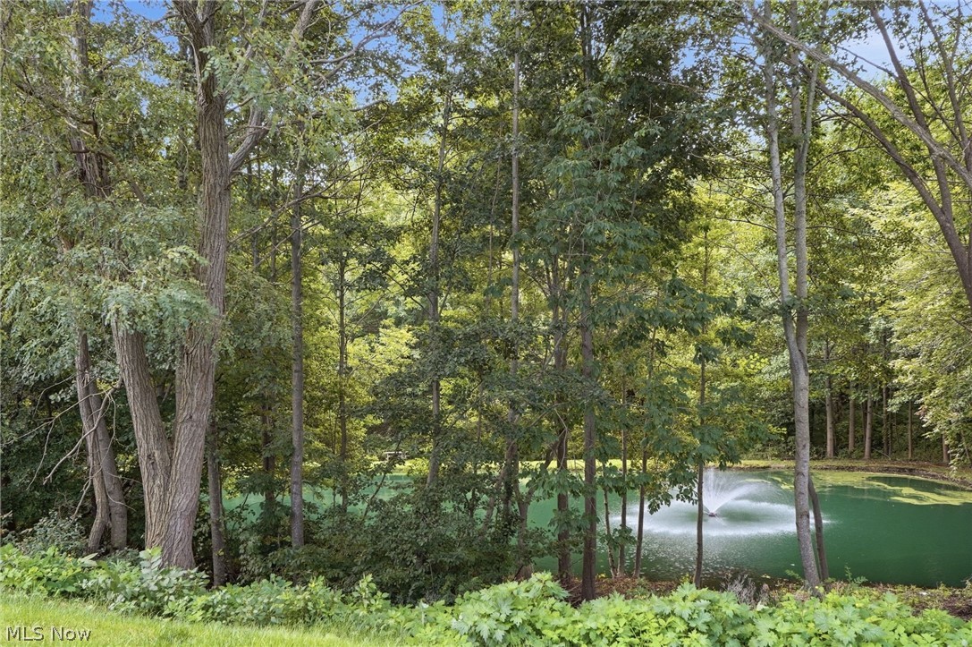 5729 Saint Thomas Lane Madison OH 44057