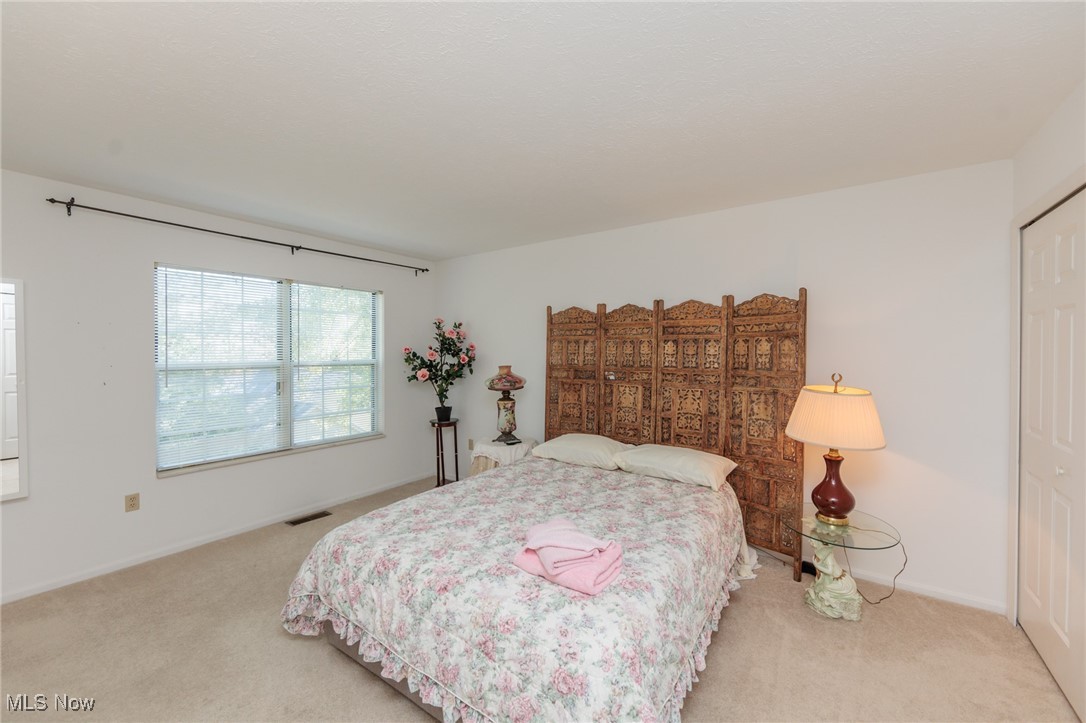 6813 Chaffee Court Brecksville OH 44141