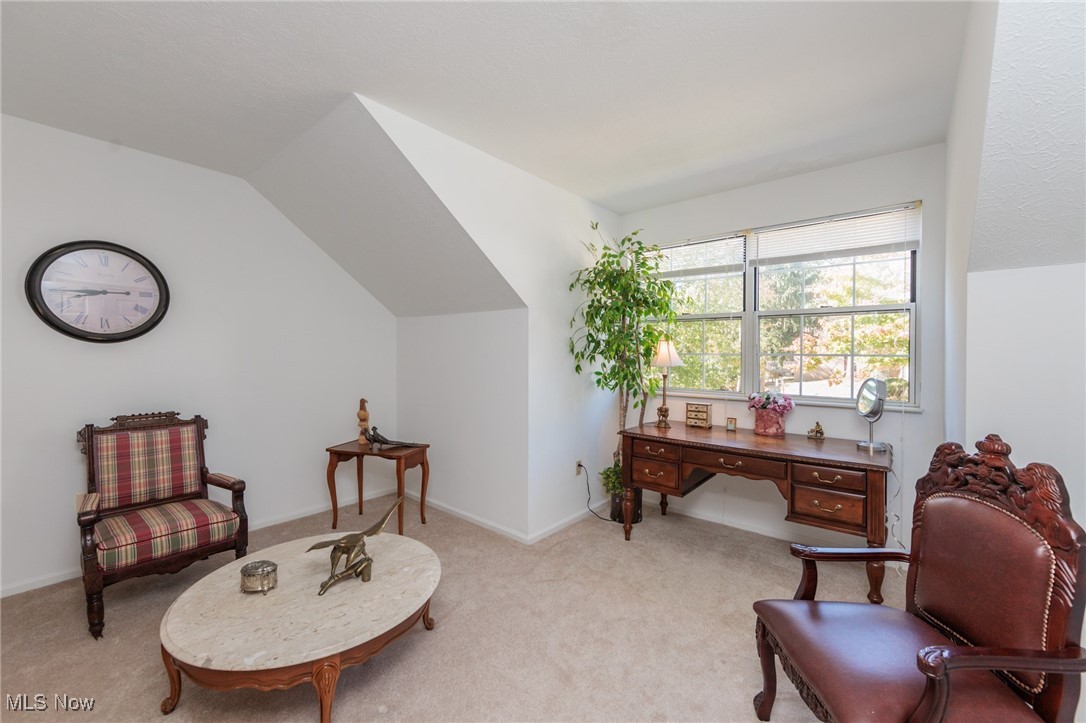 6813 Chaffee Court Brecksville OH 44141