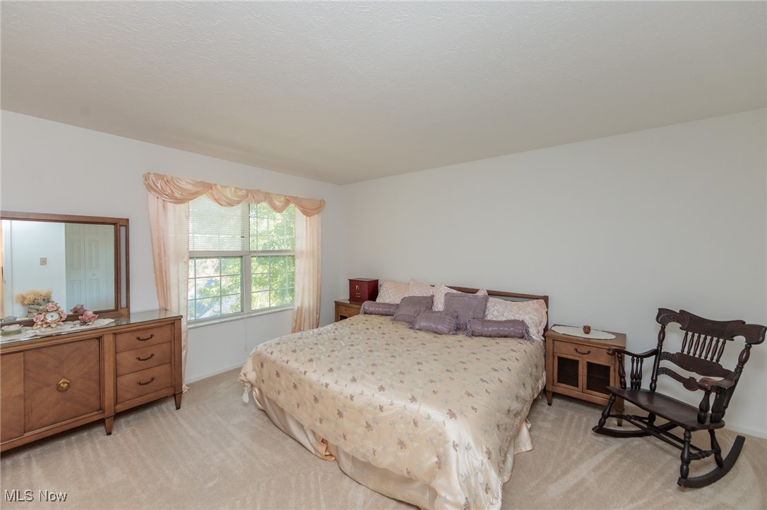 6813 Chaffee Court Brecksville OH 44141