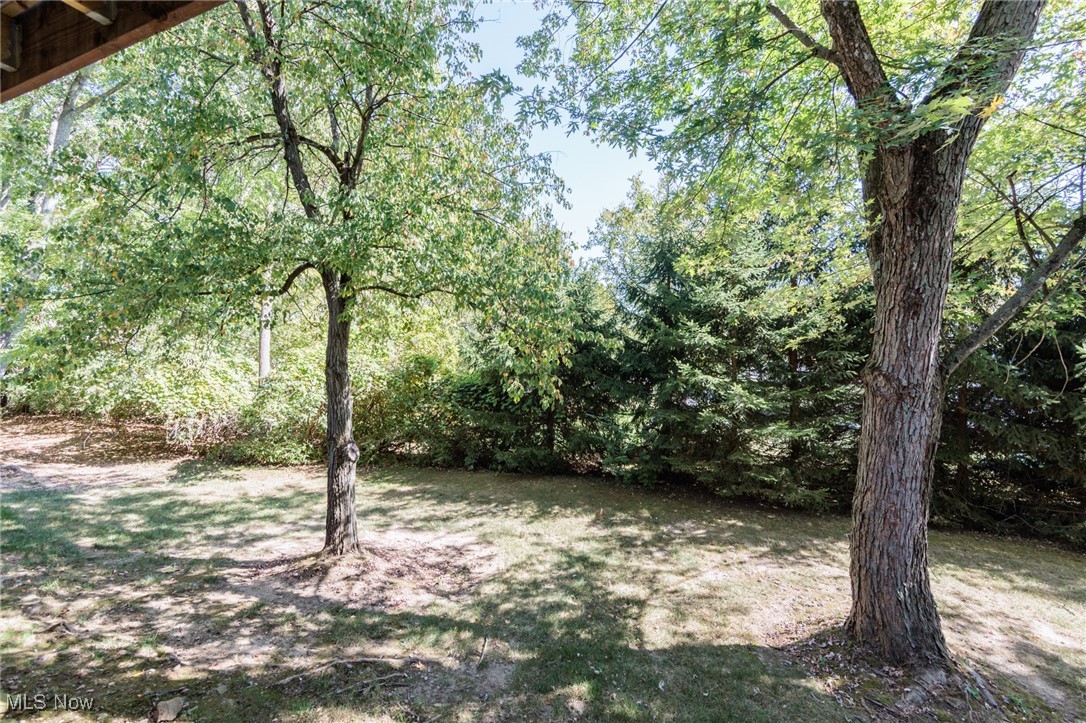 6813 Chaffee Court Brecksville OH 44141