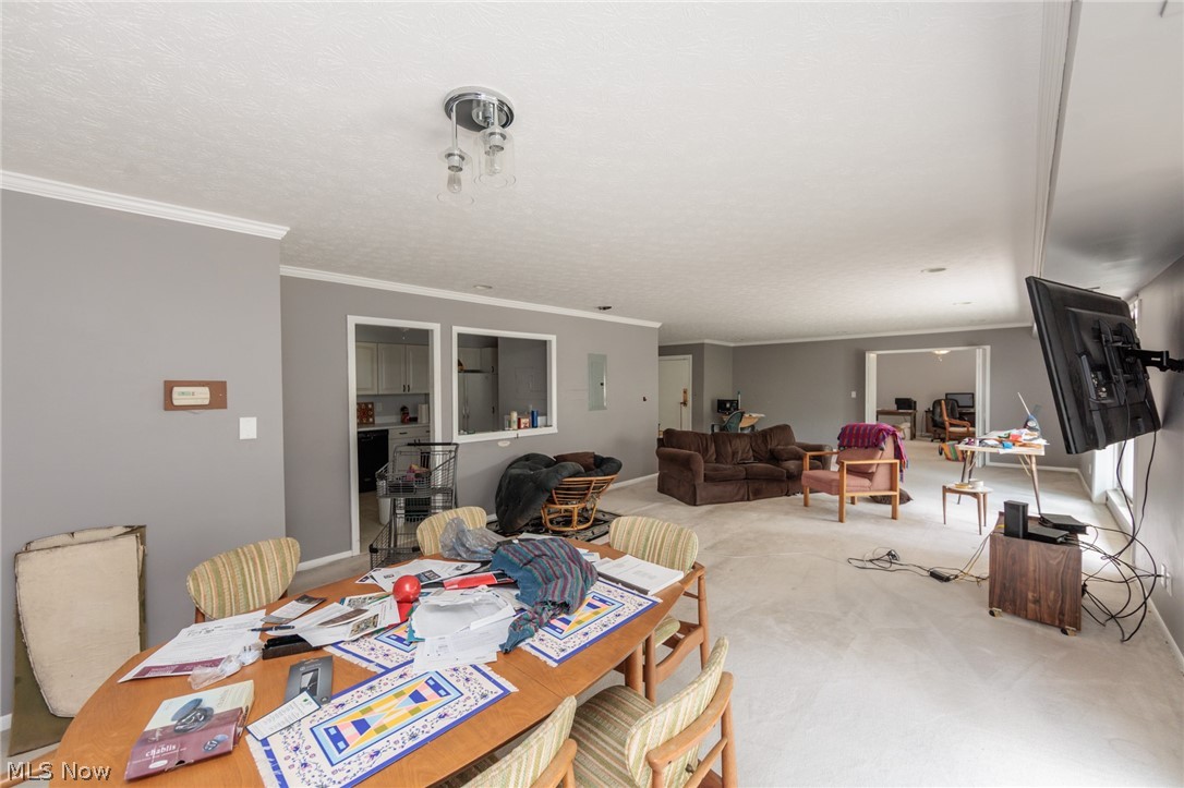 2202 Acacia Park Drive Lyndhurst OH 44124