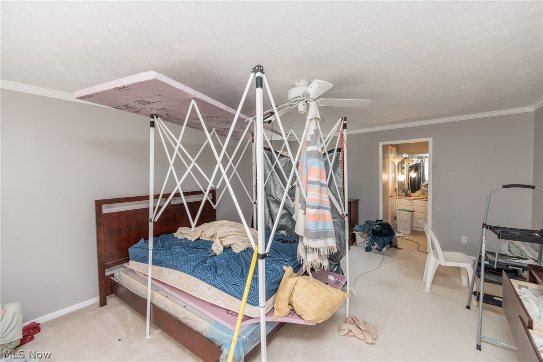 2202 Acacia Park Drive Lyndhurst OH 44124