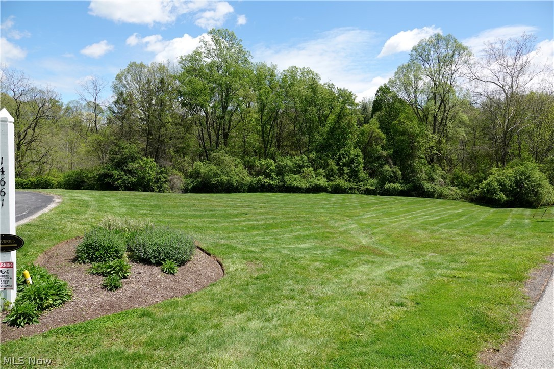 14661 Hillbrook Lane N Chagrin Falls OH 44022