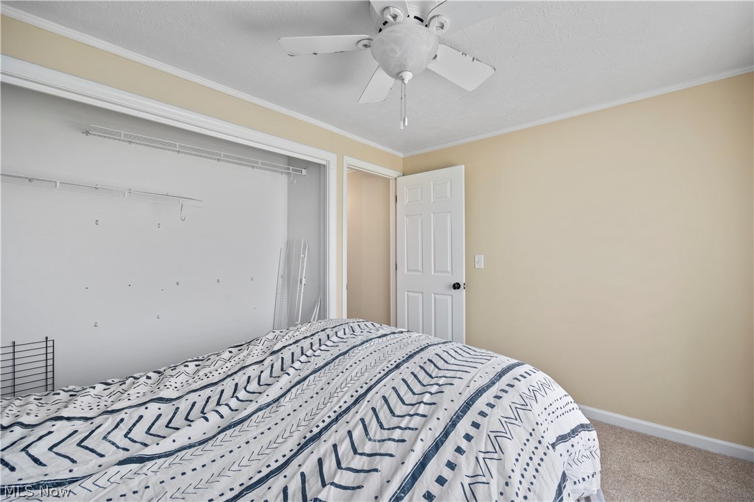 190 Deepwood Drive Wadsworth OH 44281