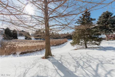 6 Preserve Drive Willoughby OH 44094