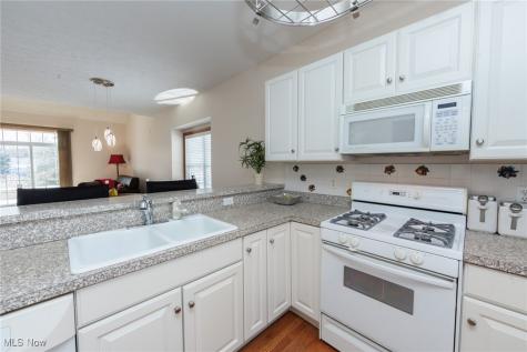 6 Preserve Drive Willoughby OH 44094