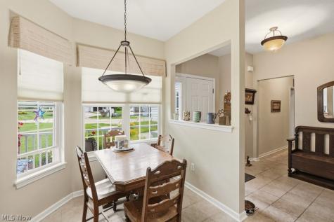3441 Heron Court Aurora OH 44202