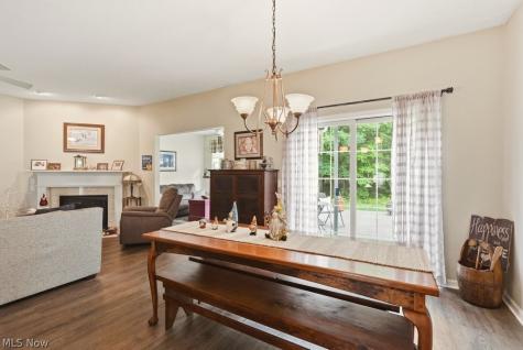 3441 Heron Court Aurora OH 44202