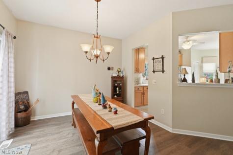 3441 Heron Court Aurora OH 44202