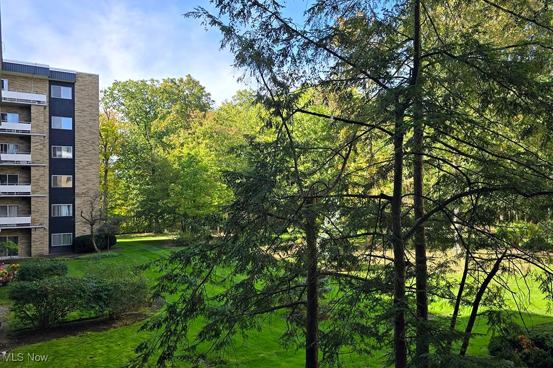 2112 Acacia Park Drive Lyndhurst OH 44124