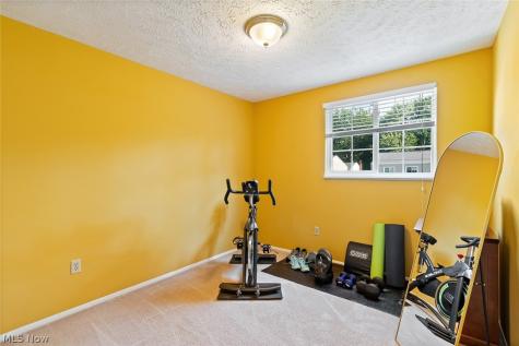 7380 Willow Run Drive Mentor OH 44060