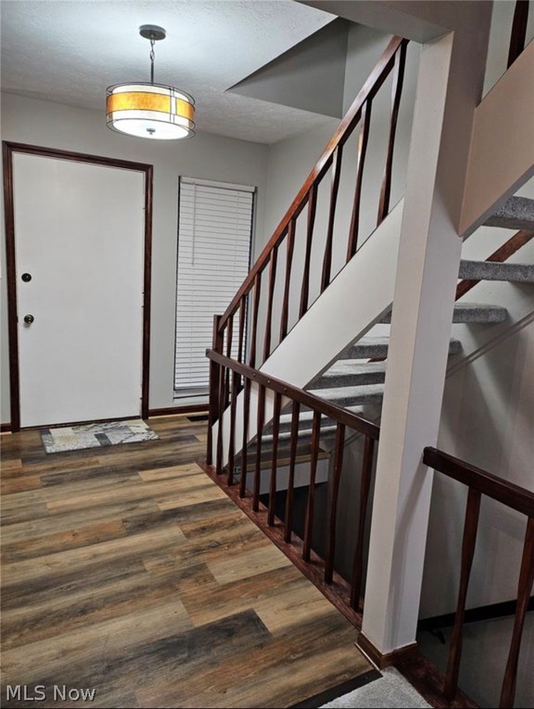 569 Bartow Lane Richmond Heights OH 44143