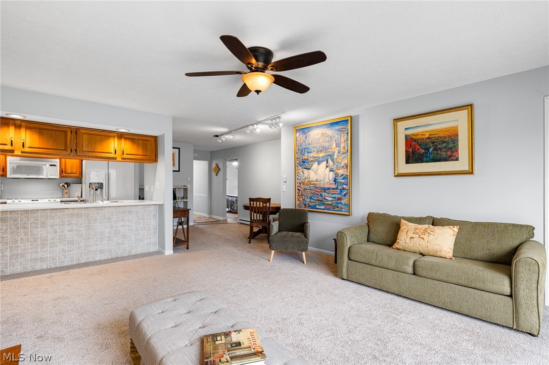 301 Willow Huron OH 44839