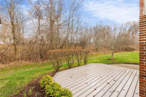 1660 Chapman Way Broadview Heights OH 44147