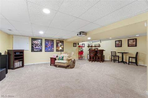 1172 Wild Brook Drive Akron OH 44313