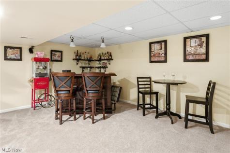 1172 Wild Brook Drive Akron OH 44313