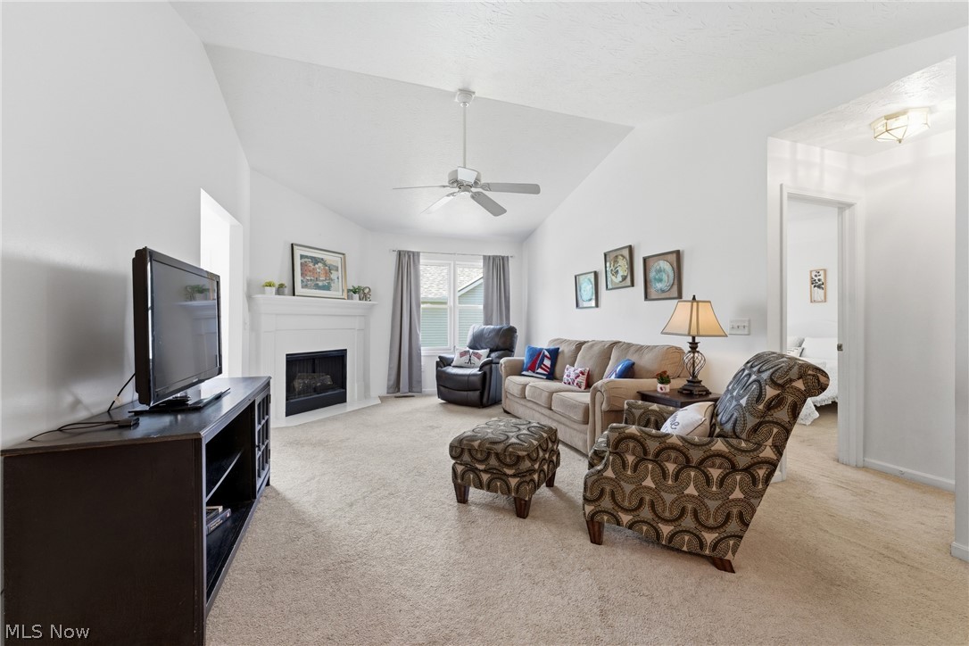 1172 Wild Brook Drive Akron OH 44313